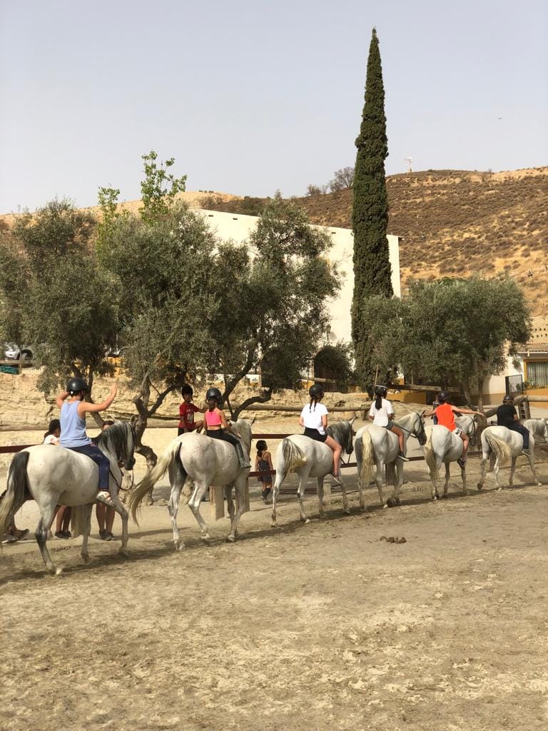Campamento Granjeros con Equitación y Multiaventura