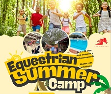 Campamento ecuestre Mundo Caballo