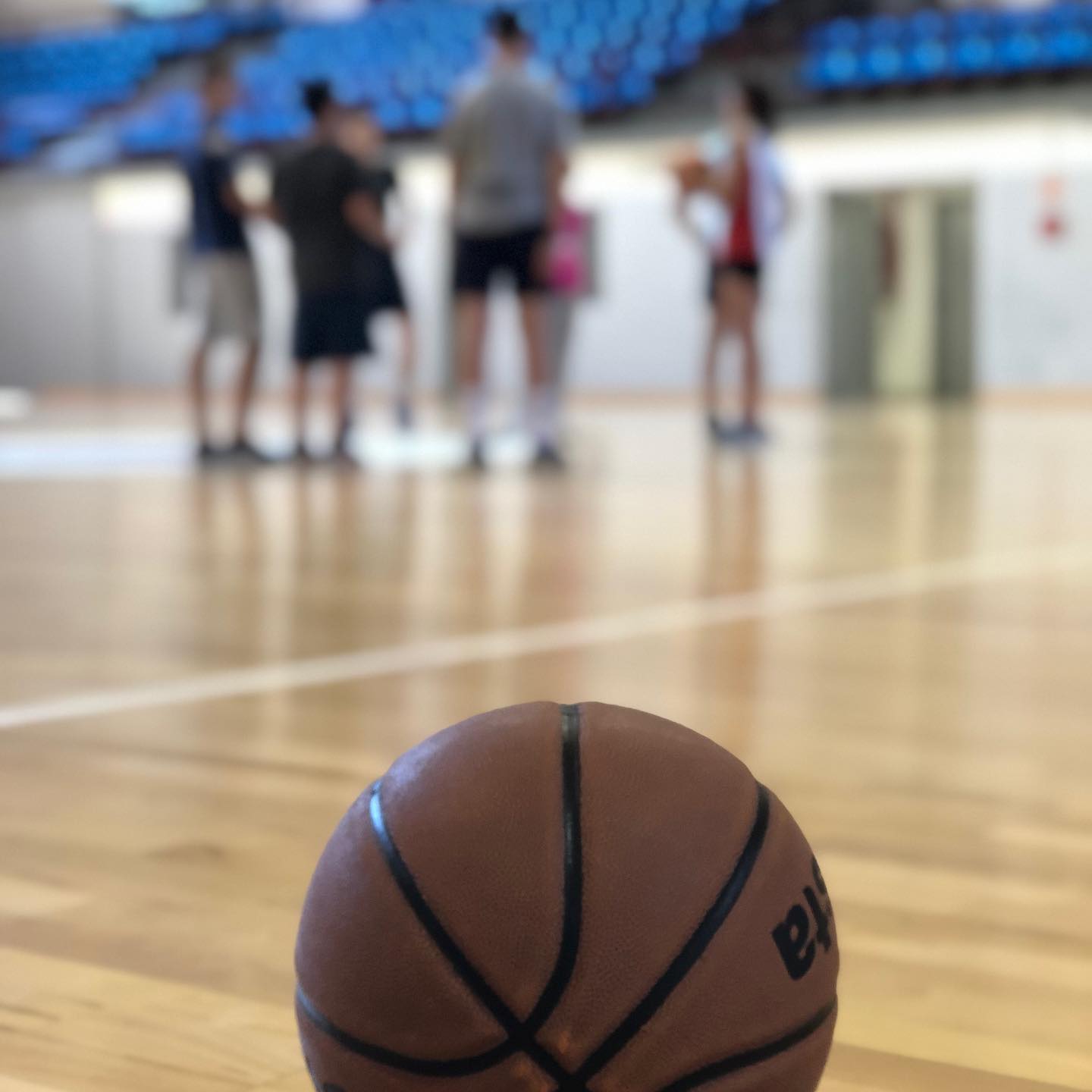 Basket Camp