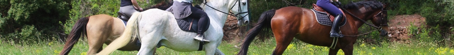 Horse Land